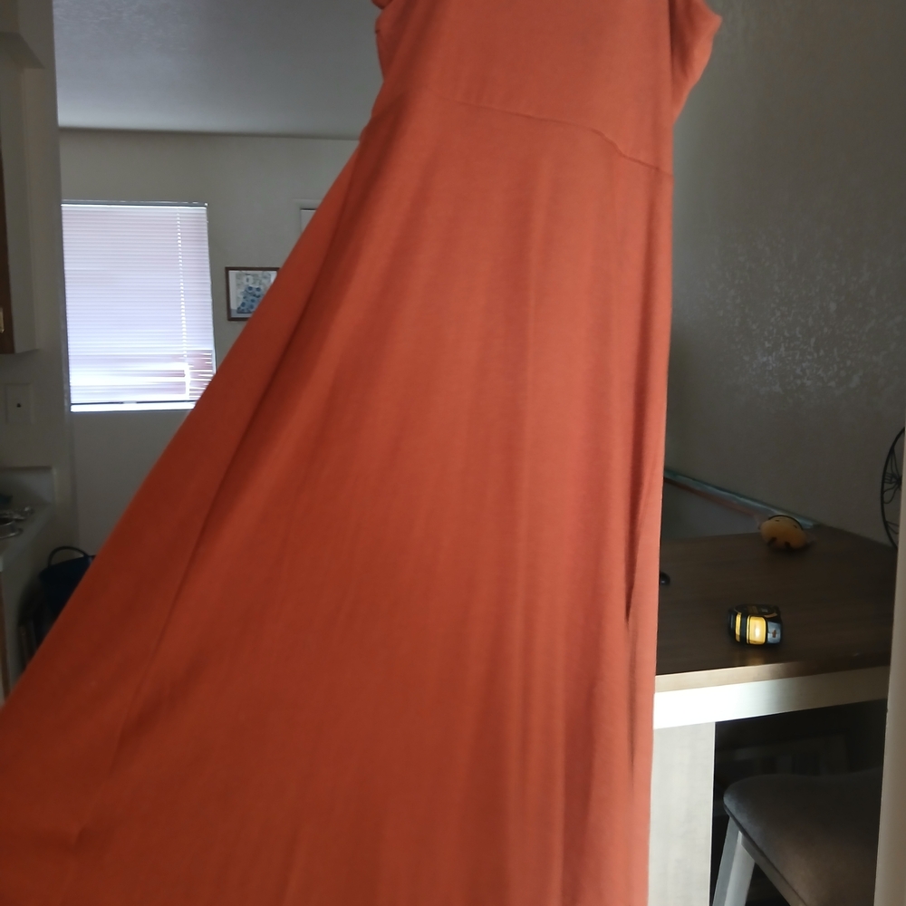 Rust Button-Down Dress - Picture 5 of 8